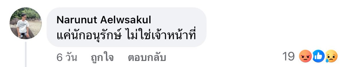 🎀🐰🌹🐻🐸🐶🐈‍⬛🐬 tweet media