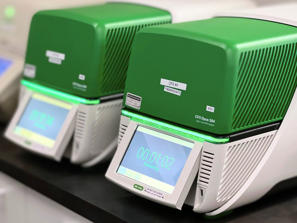 csplabs's tweet photo. Pospiviroids like PSTVd, TCDVd &amp; CLVd can spread through infected tomato &amp; pepper seed—often without symptoms.

RT-qPCR seed testing at CSP Labs offers early, accurate detection. 🧬🌱

#SeedHealth #Pospiviroid #PCRTesting #CSPLabs https://t.co/7aeMFcwmKx