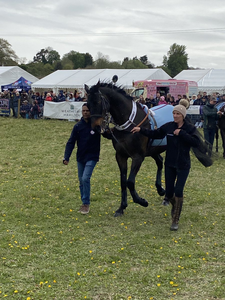 simonsanders1's tweet photo. And more! #Sprinter #FirstStreet #CalifetEnVol #Kingston #LambournOpenDay https://t.co/DmeKELyv0N