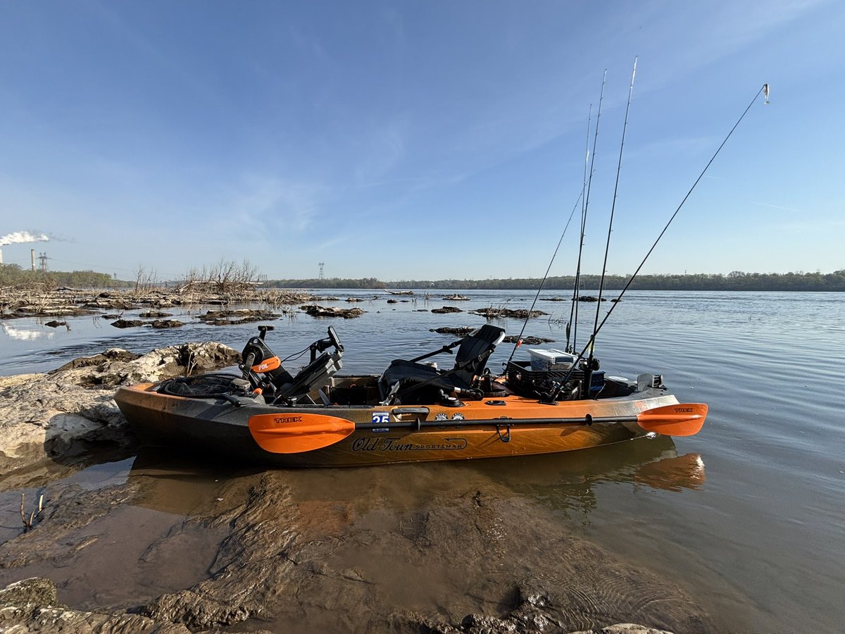 Average Dad Fishing tweet media