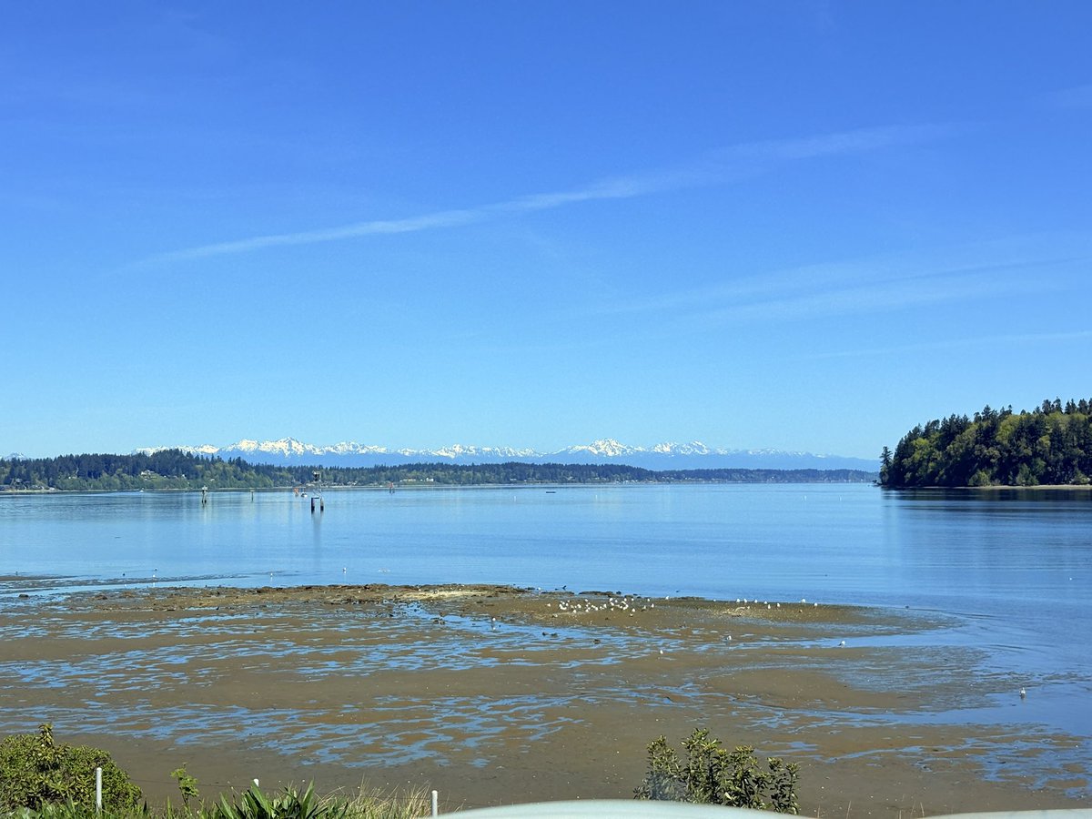 TylerAronHoward's tweet photo. Our view from Olympia Harbor plus the farmers market breakfast we had this morning just because it was excessively dank https://t.co/FAzzqmik2b