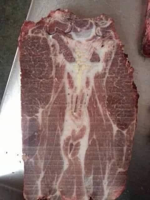 Pato_Moronga's tweet image. Quería chingar unas carnitas pero creo que mejor voy por unas mojarritas