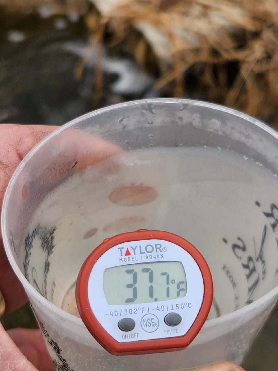 deutmeyer_troy's tweet photo. Why won't the soil temps climb in NE IA??  Common question I have been getting from customers.  With the nearly 4' of frost this past winter it takes A LOT of energy/heat to warm up 4' of soil to even low 40 degree temps.
I stopped at a tile outlet in NE Delaware Co IA at 12:30 today (Good Friday) and measured the tile water temp... it was 37.7 degrees!!  This is why every night we are losing close to 10 degree's from daytime peak soil temps and why there is little difference in temperatures between tillage systems...  A lot of cold to buffer out of the soil at lower depths.  This is also why the alfalfa/rye, etc is so slow to get going.  
Soil temp in field next to tile line on bare soil was just over 50...
B safe out there!!