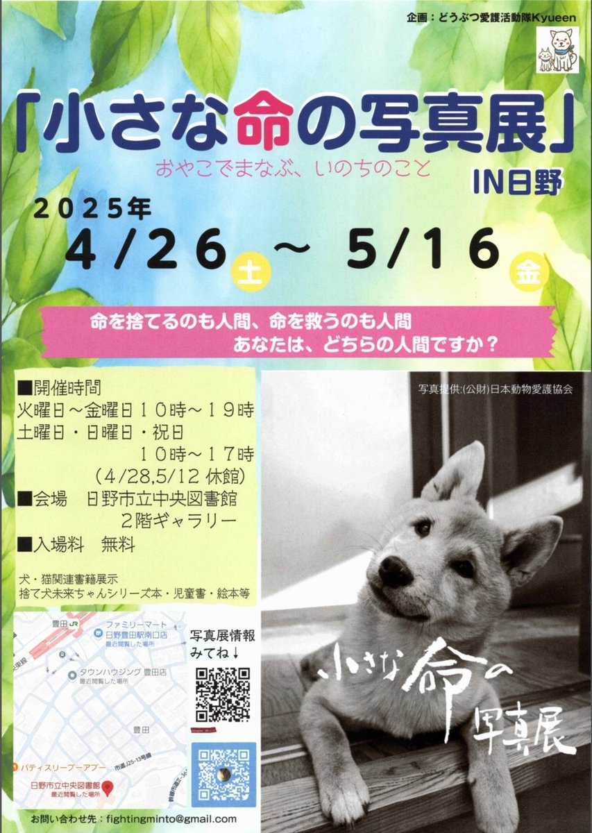 💁‍♀️写真展開催のお知らせ
4/26~5/16
日野市立中央図書館二階ギャラリーにて写真展を開催します。
期間中何度でもお気軽にお立ち寄りください🐾
私は仕事の合間に図書館に行きます。火曜日は比較的います。
#小さな命の写真展IN日野
#日本動物愛護協会
#道徳
#命の授業
#捨て犬未来
#岩崎書店