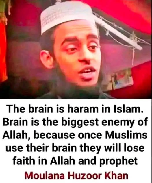 He's right. The word brain is not mentioned in the Quran. Not even once.