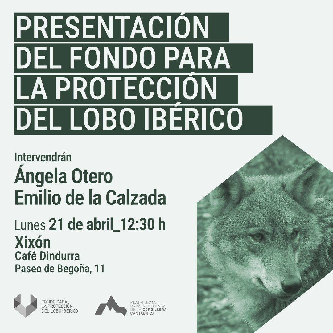📢 Este lunes 21 de abril, a las 12:30 h, presentamos el Fondo para la Protección del Lobo Ibérico en el Café Dindurra (Xixón).

🎙 Intervendrán Ángela Otero y Emilio de la Calzada.

🐺 Un acto para conocer el proyecto y sus próximos pasos.

#DefiendeAlLobo #ProtegeAlLobo