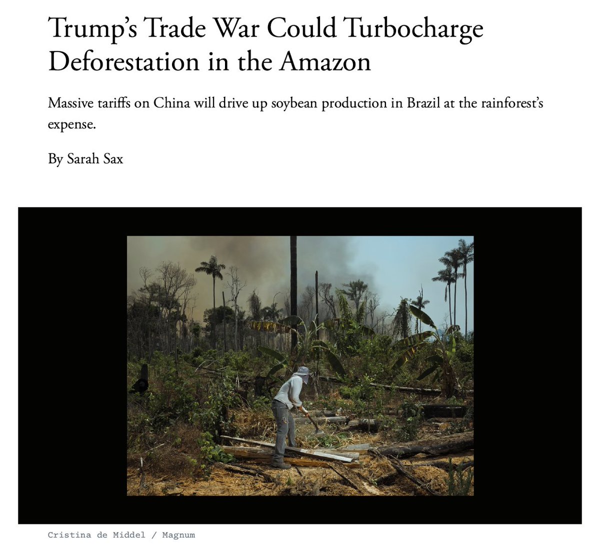 Global Land Use and Environment Lab tweet media