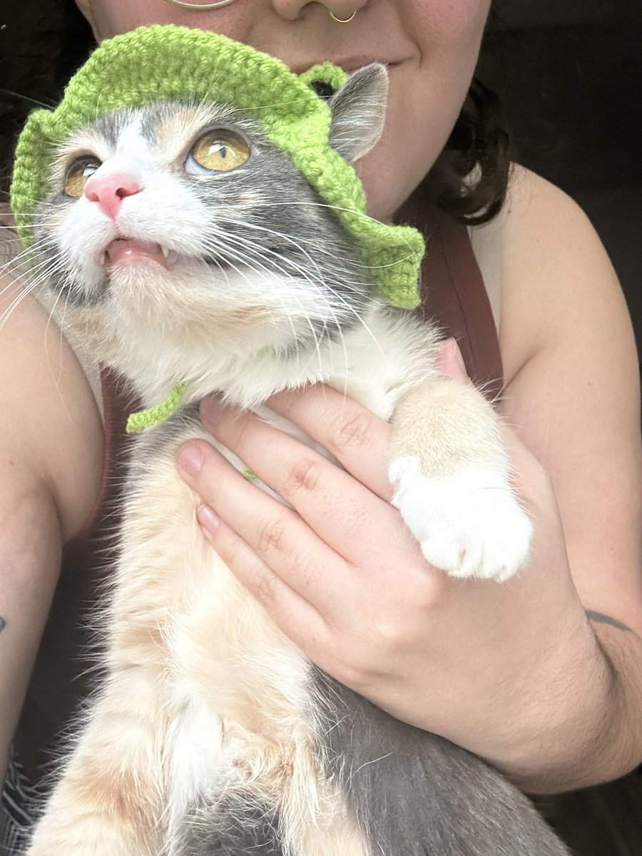oreoeocat's tweet photo. Thank you so much @salamandorah for the gift! :) https://t.co/Z26PCV7i23