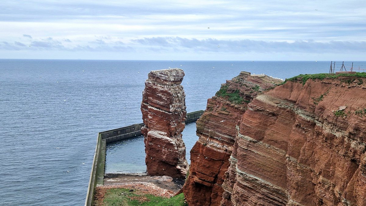 wandklex's tweet image. War ne Geschäftsreise, echt.
Der mitgeführte #Atelierhütehund fand den ungewohnten Außendienst sehr anstrengend, aber meisterte ihn tapfer. Ich auch.
#helgoland