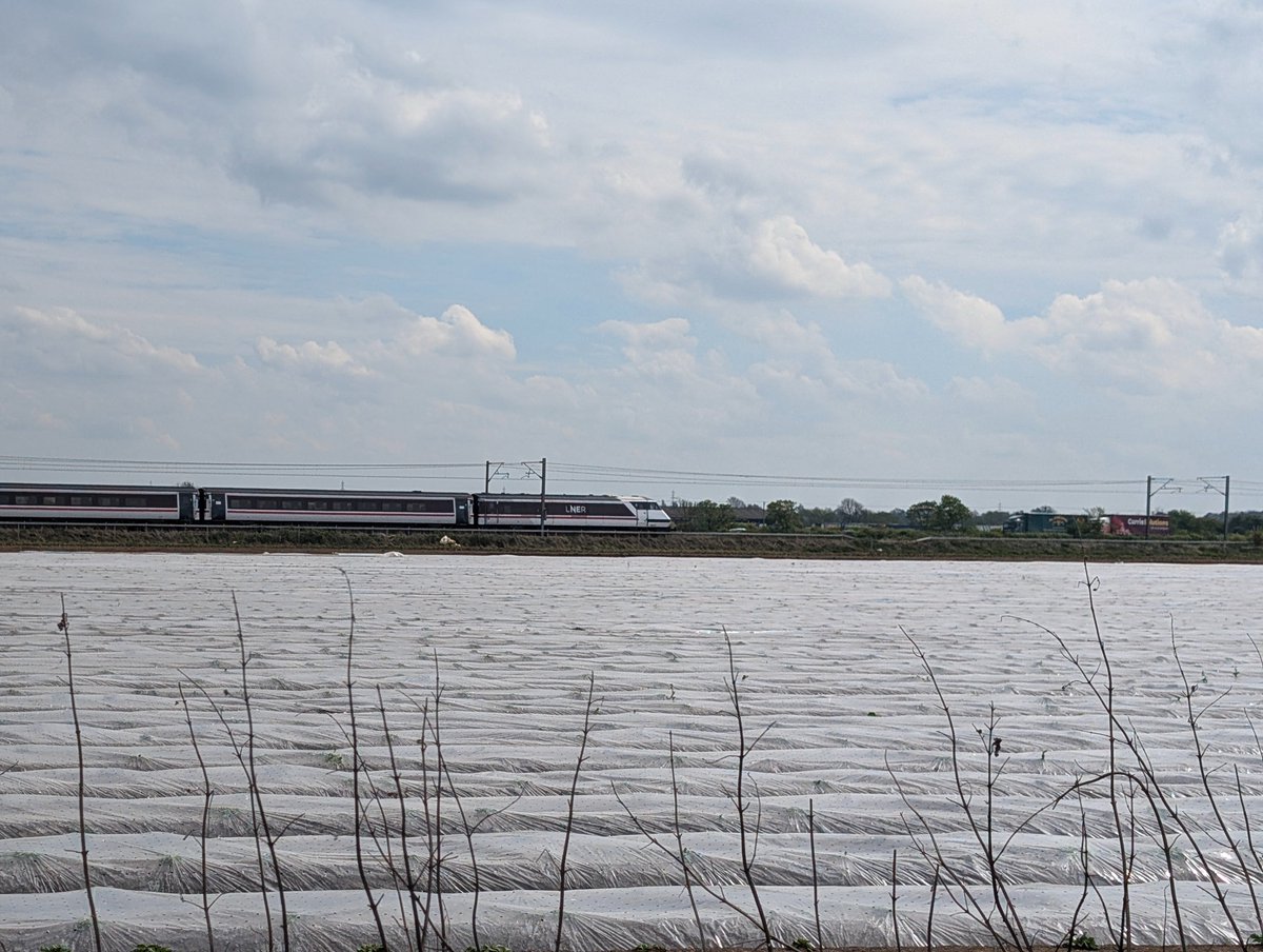 Hawchcf1 tweet media