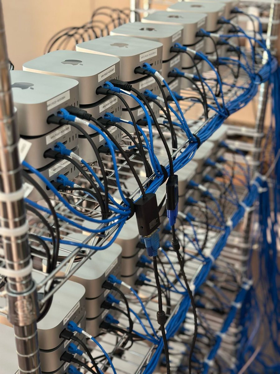 Francielle Dellamora (@francidellamora) on Twitter photo 