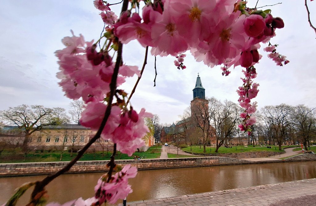 Hyvää pääsiäistä🩷 #turku #pääsiäinen