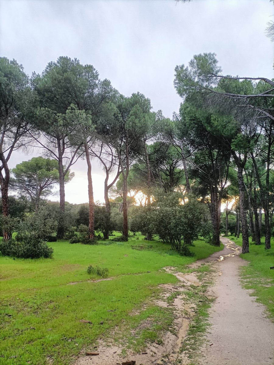 Desgrito

"Cuando las cosas escritas no existan, sólo existirá escribirlas"

Aida González Rossi <a href="/noimantada/">Aiditta ‼️🌋🌧🏳️‍🌈</a> 
<a href="/LiberoEditorial/">Libero * Editorial</a> 

Vía <a href="/SabinaUrraca/">Sopapo</a>