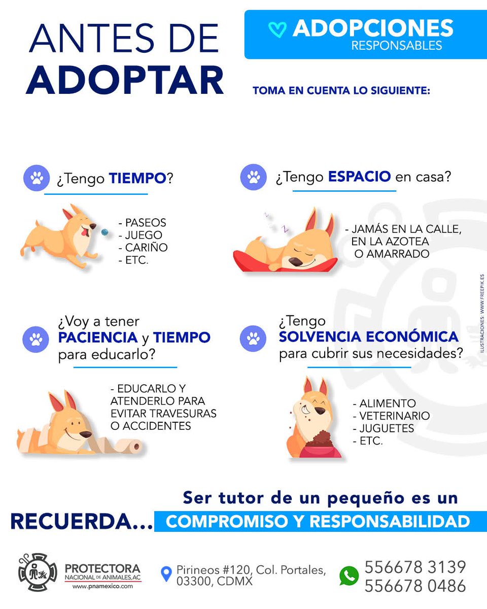 #adopciones ¿ESTÁS PENSANDO EN ADOPTAR? Toma en cuenta lo siguiente.

👉RECUERDA: Ser tutor de un pequeño es un COMPROMISO y RESPONSABILIDAD ♥️

#adoptaunamigo #adoptanocompres #AdopcionesResponsables #Adopcionesfelices #pnamexico  #michis #Lomitos  #perros #mascotas #gatos