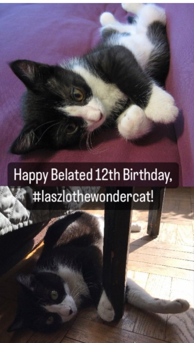 harold goldberg tweet media