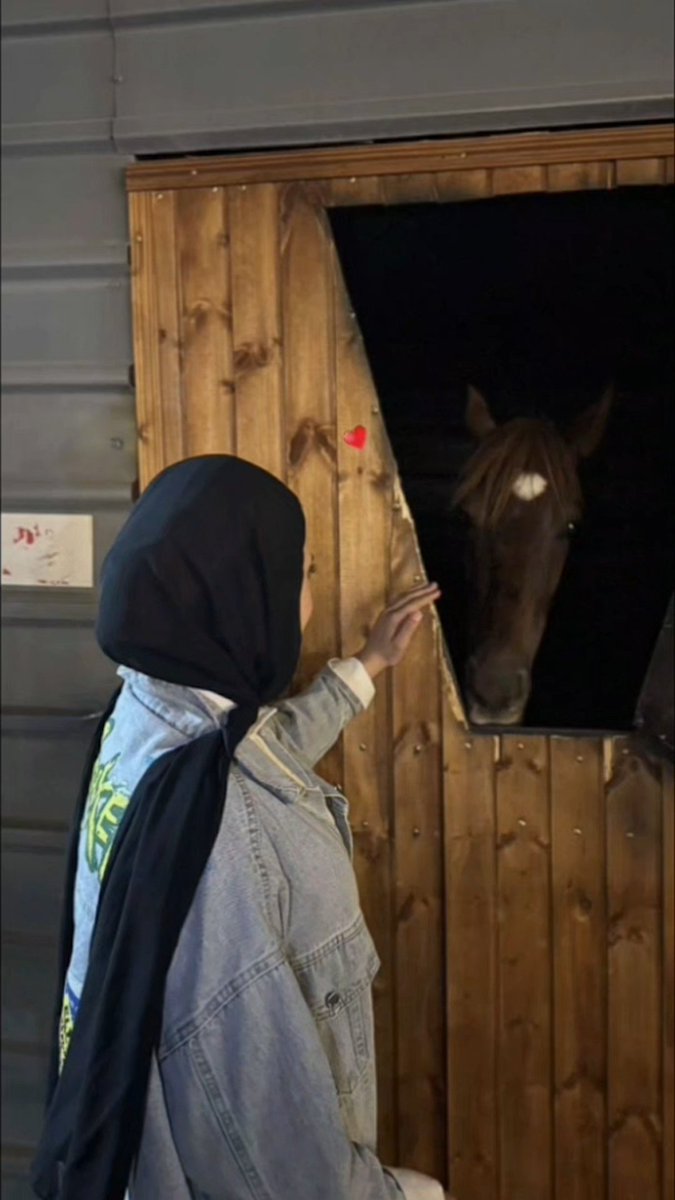 heba_ahmad4's tweet photo. ✨️🐴 https://t.co/ruGnMZ5YbT