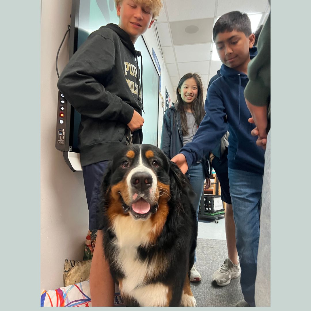 FSAPrivate's tweet image. 🐾 Fur Baby Friday brought smiles and snuggles to our middle school ICARE class! Students enjoyed some much-needed pet therapy thanks to their adorable visitors. Big thanks to all who made this paws-itively special day possible! 🐶🐱 #FurBabyFriday #FSA #ICARE