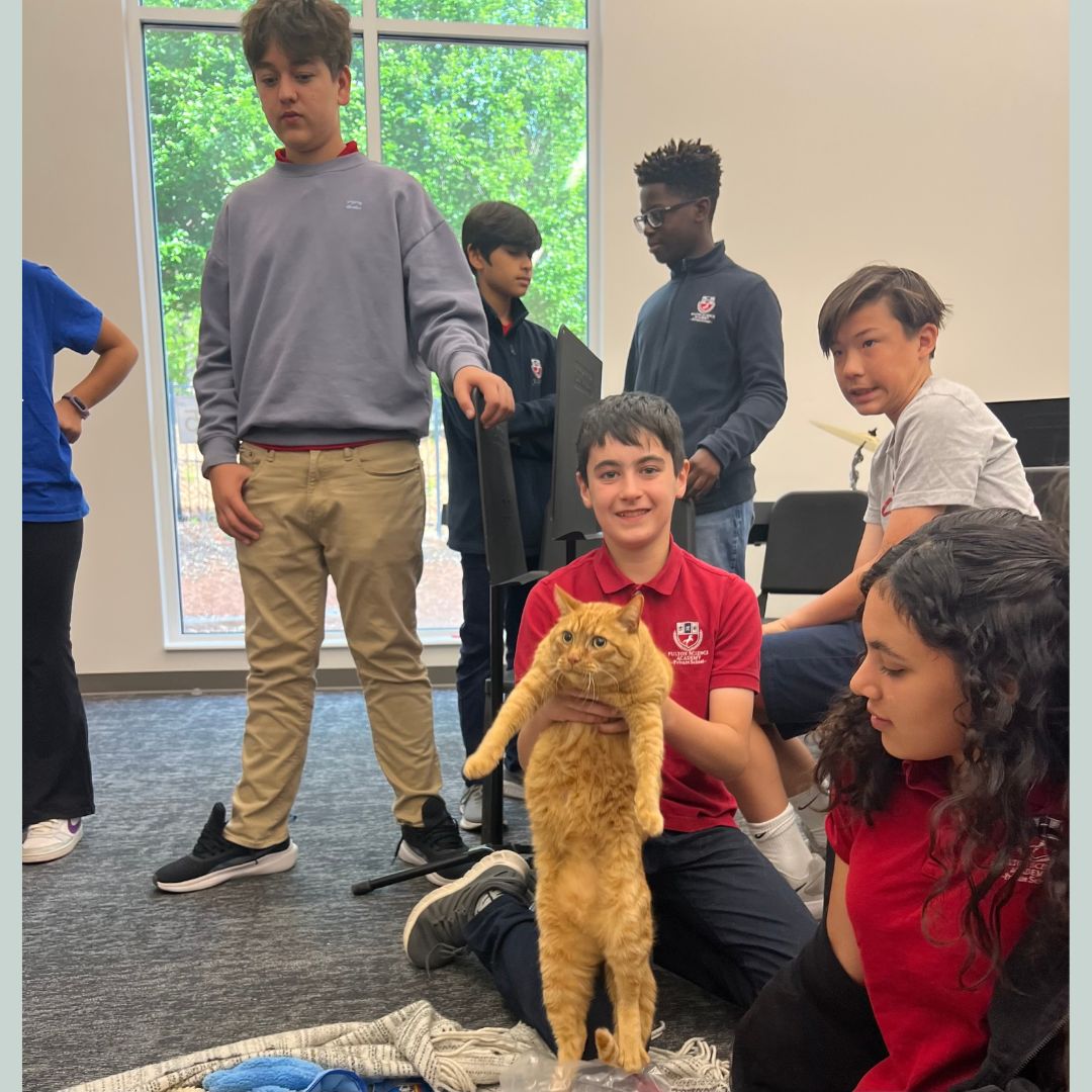 FSAPrivate's tweet image. 🐾 Fur Baby Friday brought smiles and snuggles to our middle school ICARE class! Students enjoyed some much-needed pet therapy thanks to their adorable visitors. Big thanks to all who made this paws-itively special day possible! 🐶🐱 #FurBabyFriday #FSA #ICARE