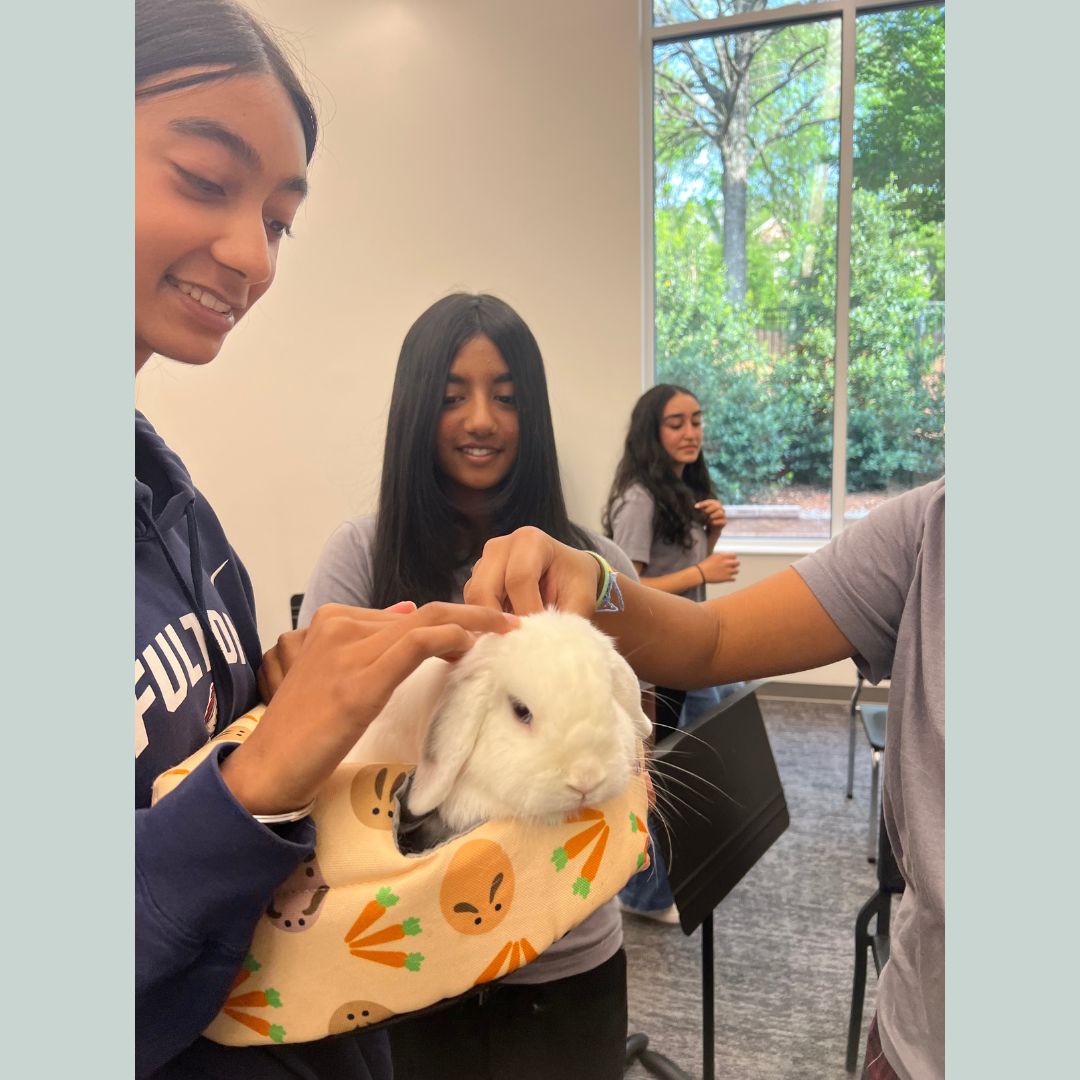 FSAPrivate's tweet image. 🐾 Fur Baby Friday brought smiles and snuggles to our middle school ICARE class! Students enjoyed some much-needed pet therapy thanks to their adorable visitors. Big thanks to all who made this paws-itively special day possible! 🐶🐱 #FurBabyFriday #FSA #ICARE