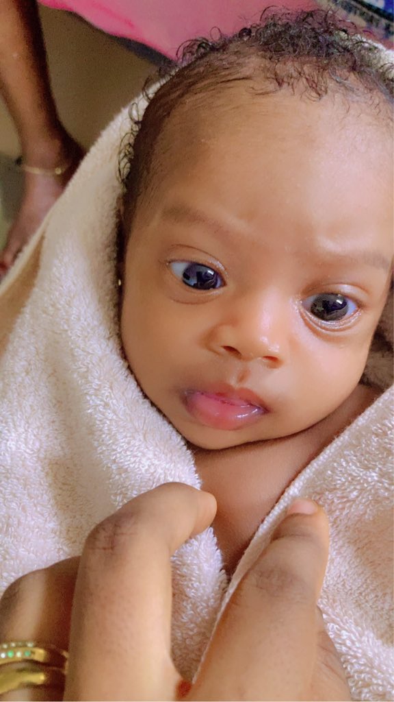 Azeez 🦡🌵 tweet media