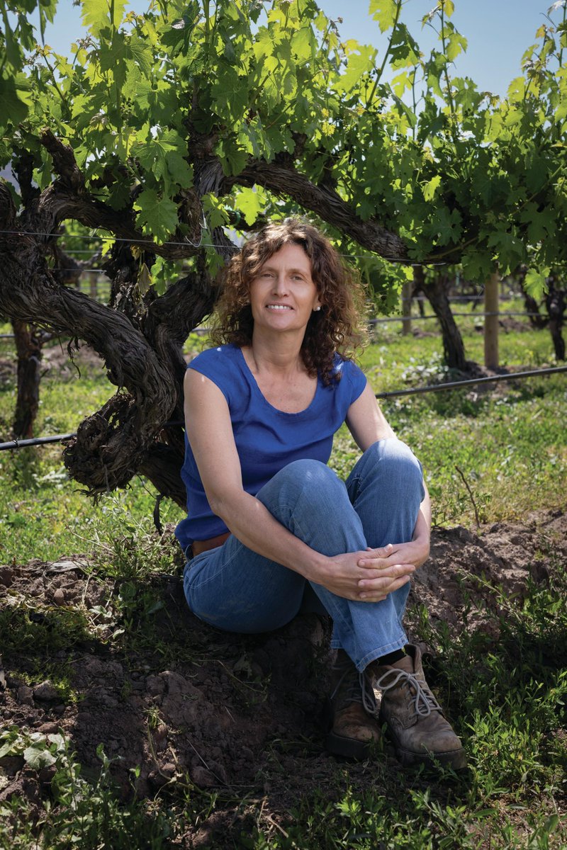 NorthernBC #Kootenays: We catch up with Ana Maria Cumsille of Viña Carmen to explore Chile’s perfect match with Cab Sauv and the modern revival of Semillon—fresh, vibrant, and made for BC seafood. Tune in for the full chat 🍷 #ChileanWine