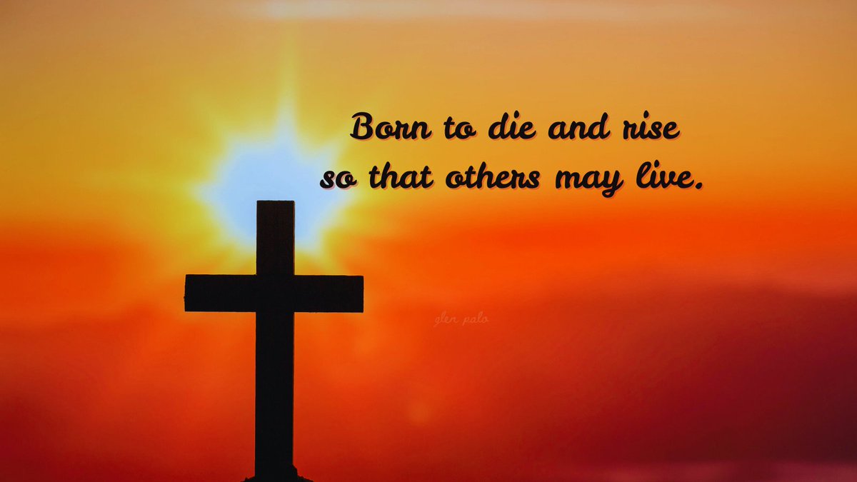 ProfitCommando's tweet image. 