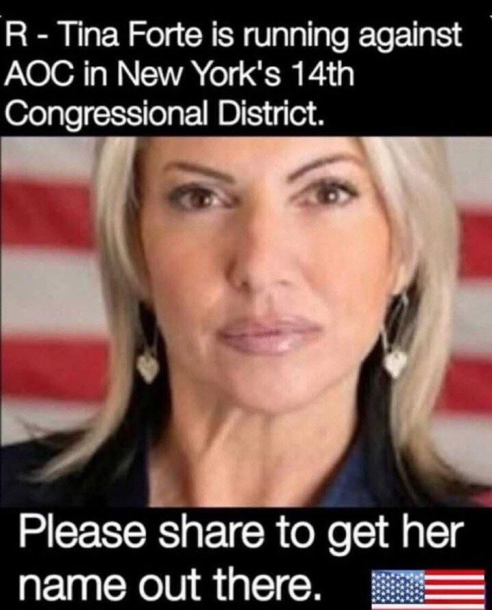 Gitmo99's tweet image. Vote for Tina Forte to beat AOC in New York&apos;s 14th district 🇺🇸🇺🇸🇺🇸
#HIAW