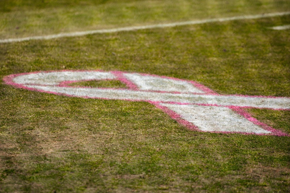 Norfolk State Baseball tweet media