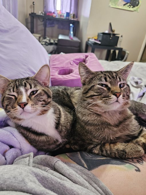 Watch 🕸𝙻𝚒𝚕𝚒𝚝𝚑 𝙱𝚕𝚊𝚢𝚗𝚗🕸's leaked NSFW photo on TwXstars