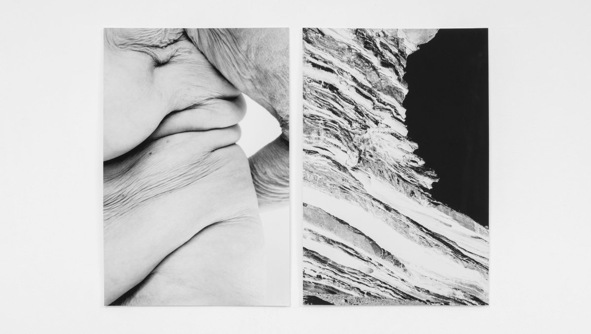 Galerie Julie Caredda tweet media