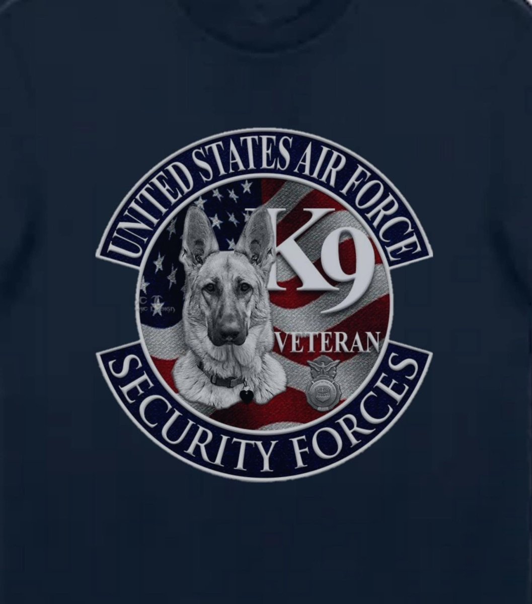 Dwight “M🇺🇸GA” “Trump” (@redland_retired) on Twitter photo 