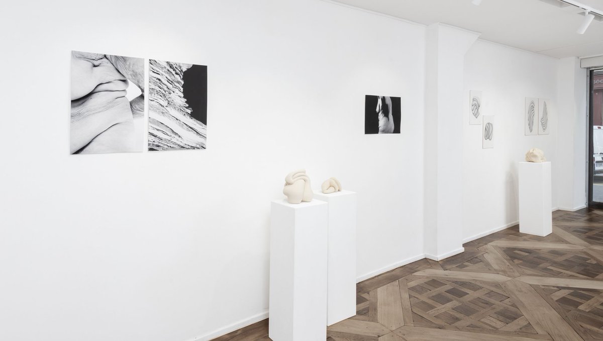 Galerie Julie Caredda tweet media