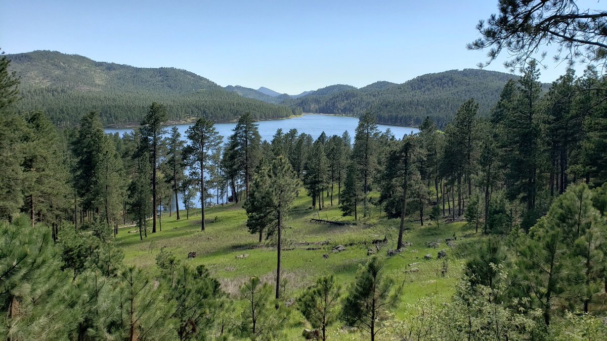 Access to Forest Recreation Facilities Impacted this Summer Due to U.S. HWY 385 Construction fs.usda.gov/detail/blackhi…