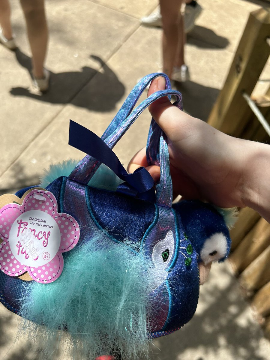 6starsandy's tweet photo. We at the zoo and the peacocks are out and about https://t.co/R9tEzFXhMv