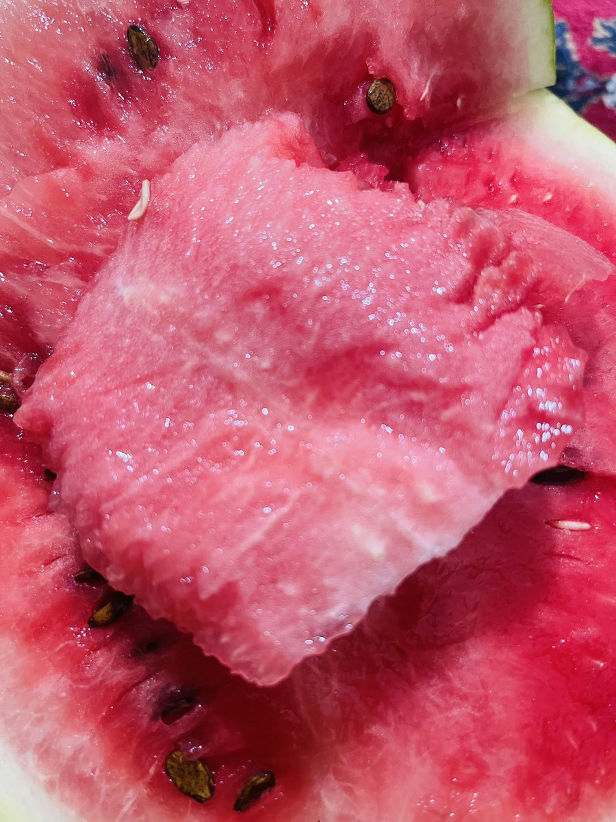 فرهاد رضازاده tweet media