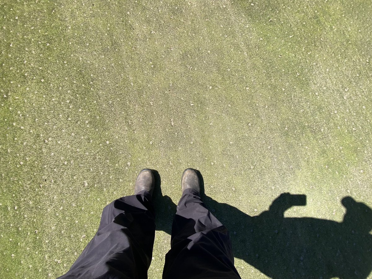 GriffithsJayson's tweet photo. With no functional irrigation and following 108 tons of sand…we are thankful for the free precipitation…👌🙏🧩✅. #springrenovations. https://t.co/4jOnopwdiN