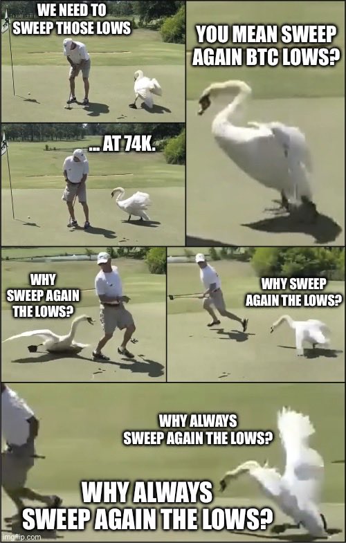 superzuffer's tweet image. $BTC: #sweep the #lows or #sweep the #highs?🤔⛳️🥸🦢😄