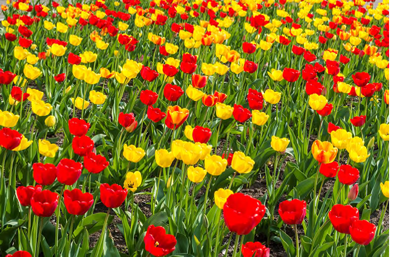 HuntingdonIns's tweet photo. Happy Easter! - 10 Important Springtime Home Safety Tips - https://t.co/bKIdnSQE1D https://t.co/yl78CHqRpr