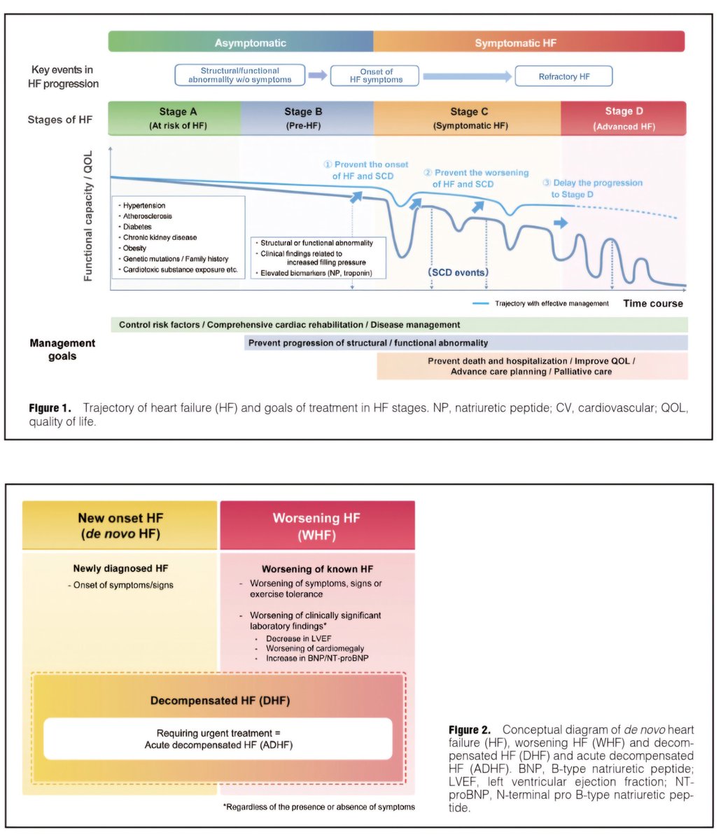 ZHeart11768530's tweet photo. 🔴 2025 JCS/JHFS Guideline on Diagnosis and Treatment of Heart Failure⤵️  

🔹https://t.co/GjH8yJZitr 
 #FOAMed #MedEd #medstudent #paramedic #Cardiology #CardioEd #medtwitter #meded #CardioTwitter #cardiotwiteros  #MedX #cardiovascular #MedTwitter #medical #medEd #cardiotwitter https://t.co/LmkswxD6kK