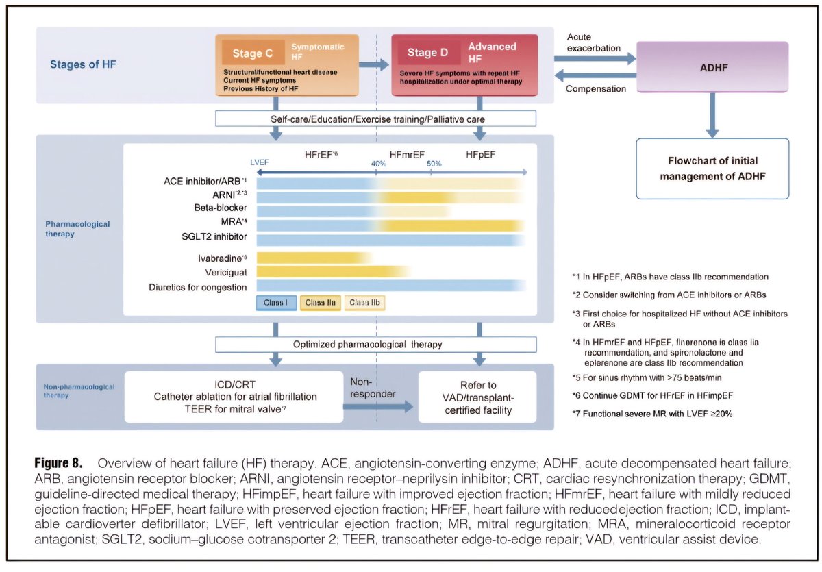 ZHeart11768530's tweet photo. 🔴 2025 JCS/JHFS Guideline on Diagnosis and Treatment of Heart Failure⤵️  

🔹https://t.co/GjH8yJZitr 
 #FOAMed #MedEd #medstudent #paramedic #Cardiology #CardioEd #medtwitter #meded #CardioTwitter #cardiotwiteros  #MedX #cardiovascular #MedTwitter #medical #medEd #cardiotwitter https://t.co/LmkswxD6kK