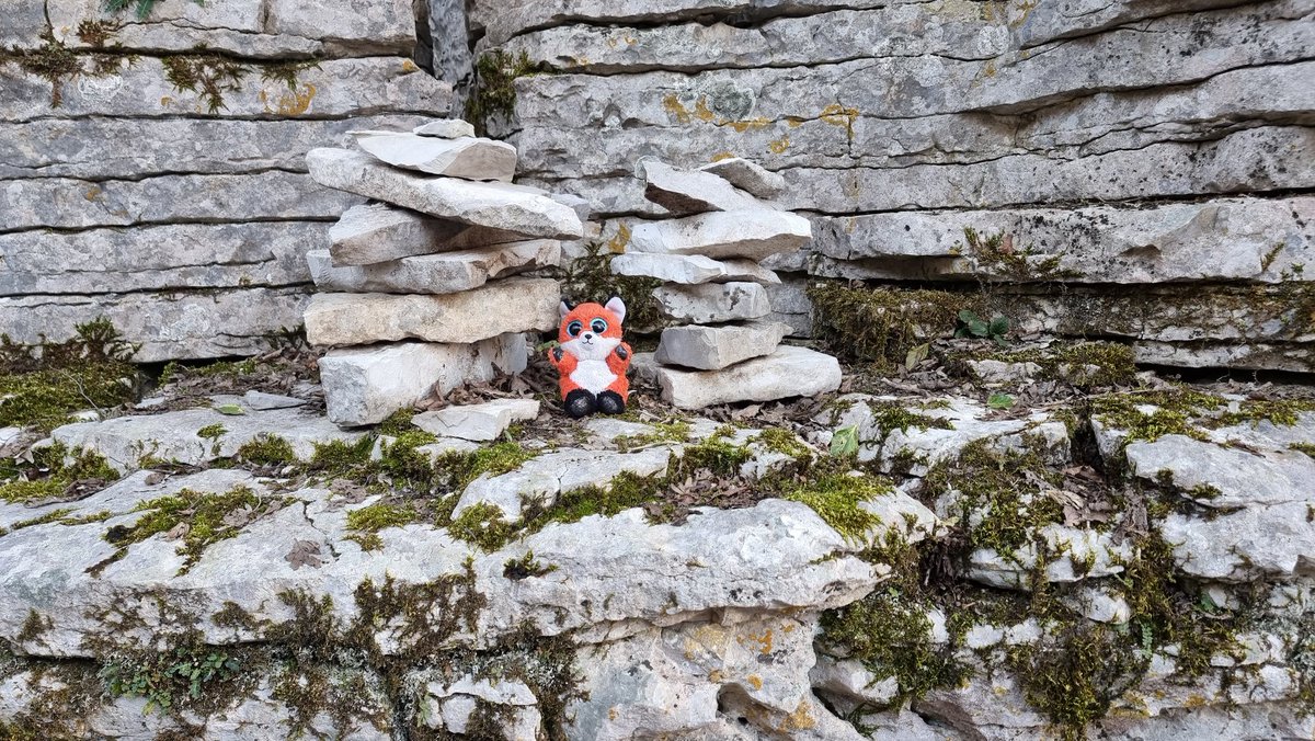 VikingChels's tweet photo. Follow the path of the Foxxo in the stone forrest #Greece https://t.co/Osf9znMyl6