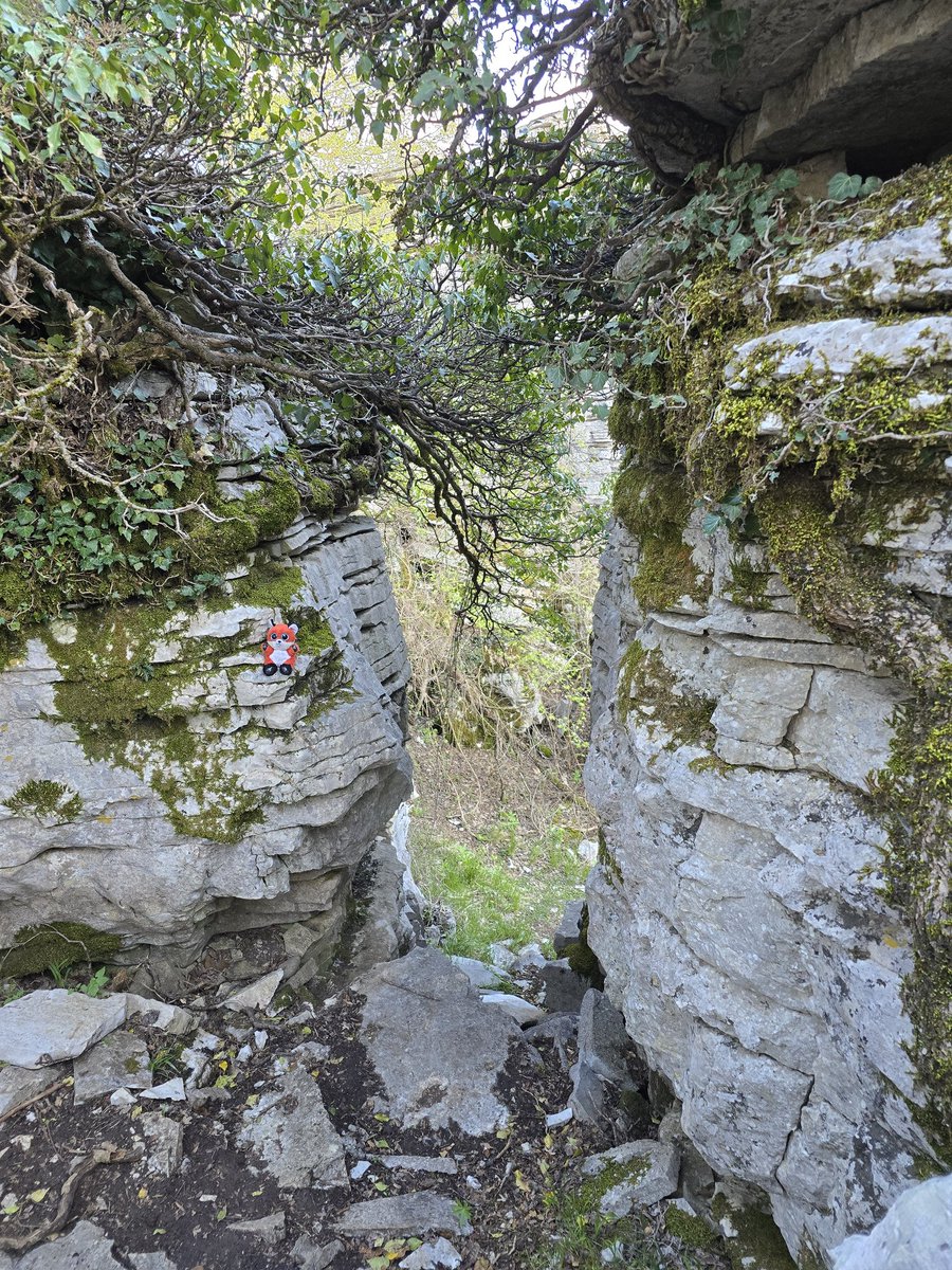 VikingChels's tweet photo. Follow the path of the Foxxo in the stone forrest #Greece https://t.co/Osf9znMyl6