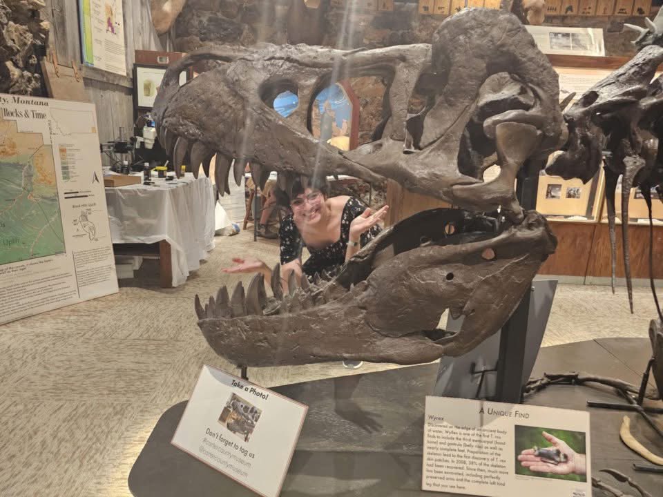 Barrerasaurus's tweet image. 12th Annual (2024) Dino Shindig.
Tyrannosaurus rex “Wyrex” BHI 6230
Ekalaka, Montana.