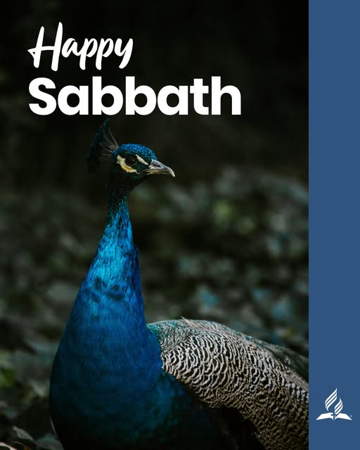 adventistchurch's tweet photo. Embrace the quiet of the Sabbath. Let the stillness lead you closer to God as you reflect on His Word and His love—a day to renew, reflect, and rejoice. Have a Blessed Sabbath. https://t.co/PaLbWR7ju8