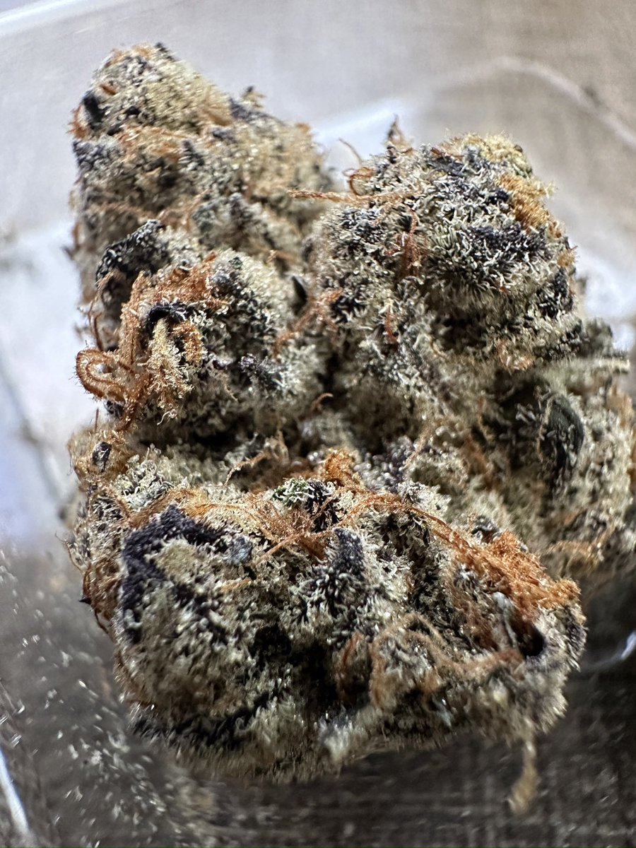 Pink Cadillac by Jungle Boys Florida