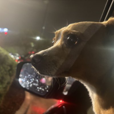 DigiDom_'s tweet photo. #NewProfilePic https://t.co/lNsEJNnNTc