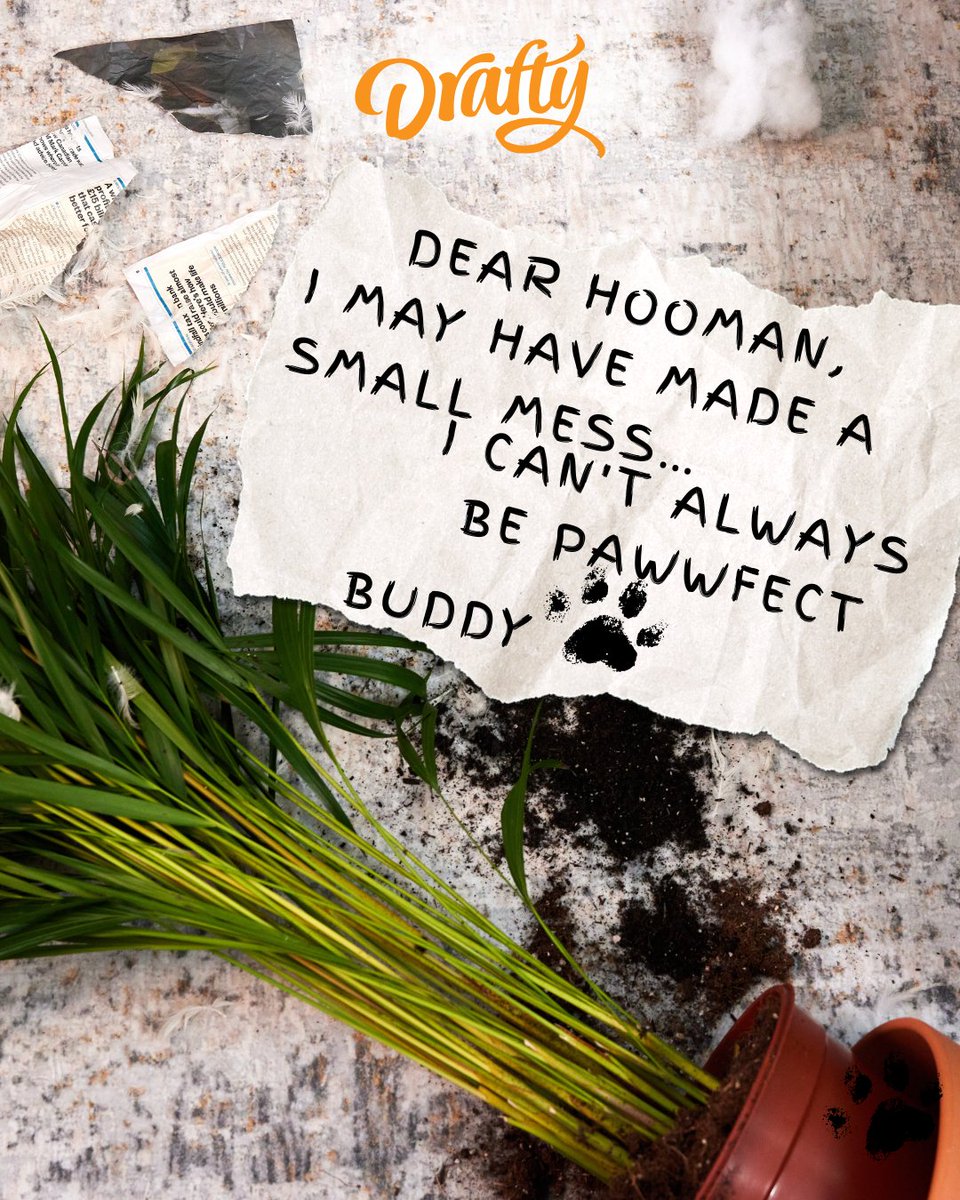 drafty_uk's tweet image. Looks like someone’s been busy…  
When life (or your dog) turns your home into a disaster zone, Drafty’s here to help you put it all back together. 

Representative 96.2%APR (variable)