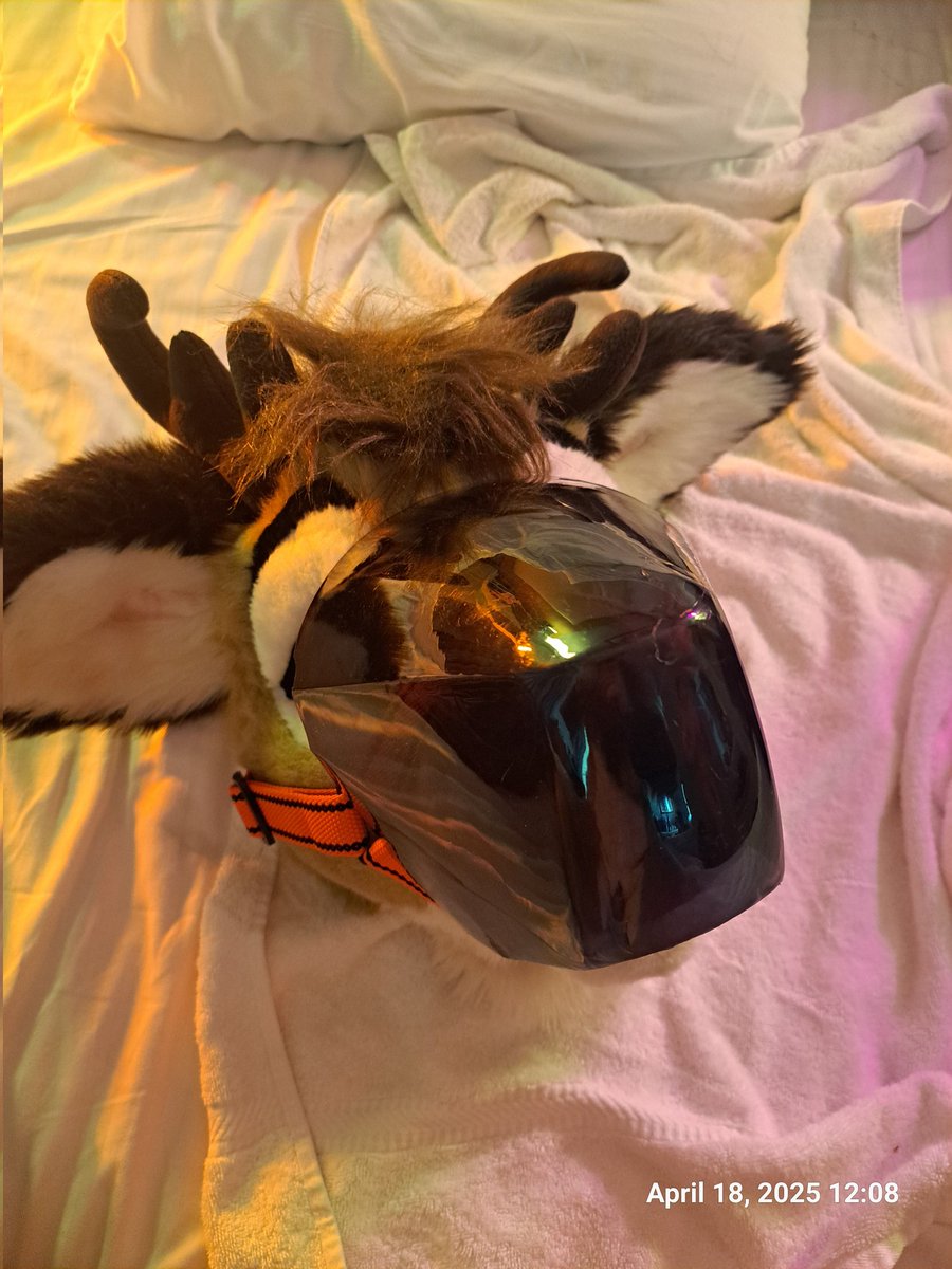 Beep boop am protogen hurr durr :3 

<a href="/Rhythmatica/">Rhythmic🔞 the 𝓯𝓻𝓮𝓪𝓴𝔂 proto</a>