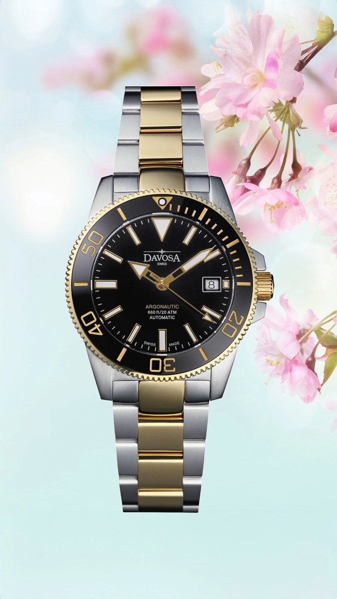 Davosa_USA's tweet photo. Spring's colors โ
Weekend vibes ๐บ
#divewatches #longislandwatch #watchlover #watchgoals https://t.co/mpVmWajPdR