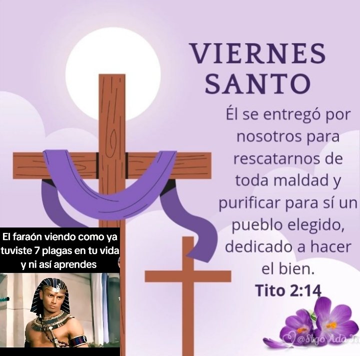 Vivas_20329's tweet photo. @ElQueRezaY... https://t.co/5pDGPTqHys
